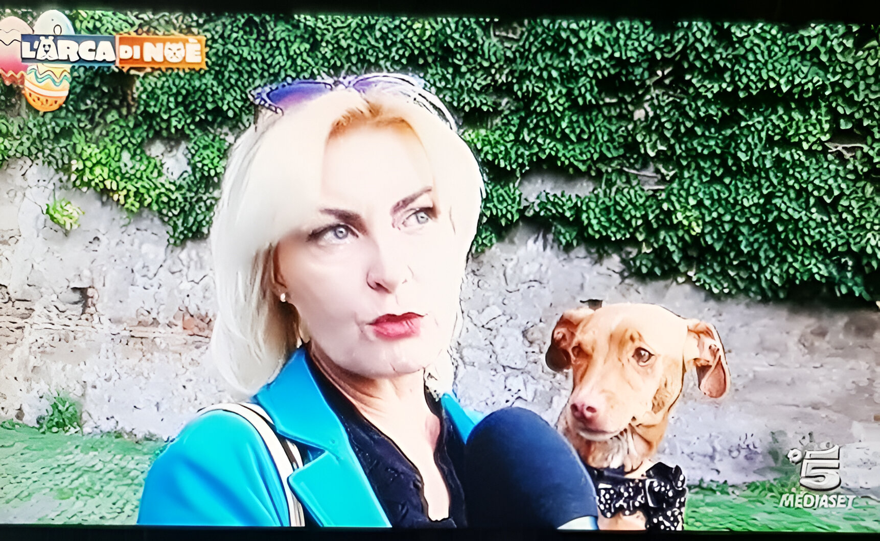 Intervista "L'Arca di Noè"